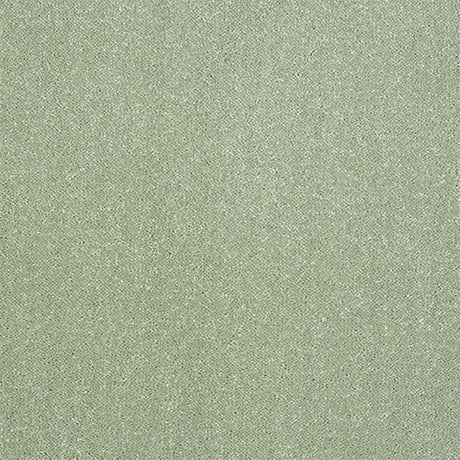 Pure Elegance Carpet