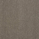 Pure Elegance Carpet