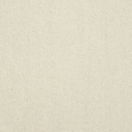Pure Elegance Carpet