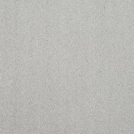 Pure Elegance Carpet
