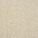 Pure Elegance Carpet