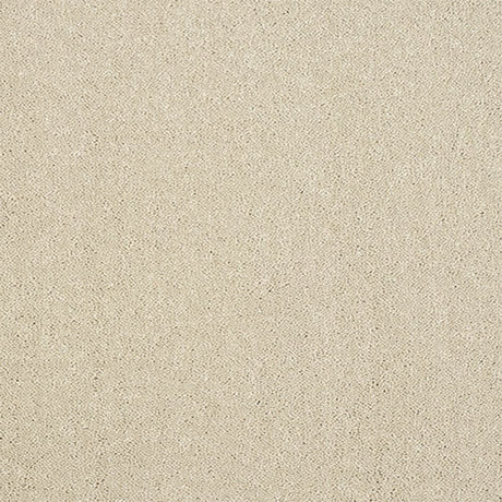 Pure Elegance Carpet