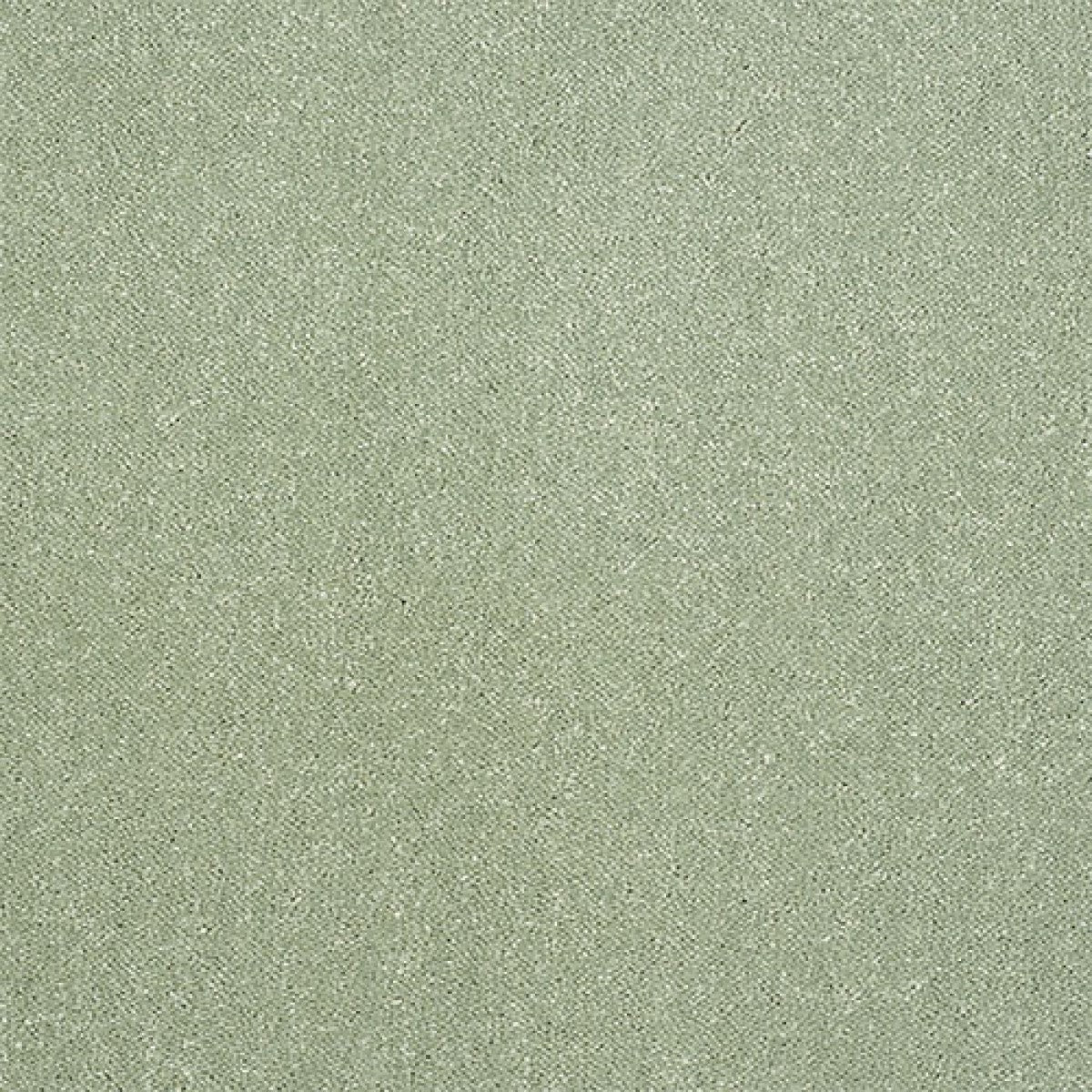 Captivation Carpet