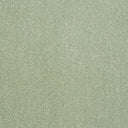 Captivation Carpet