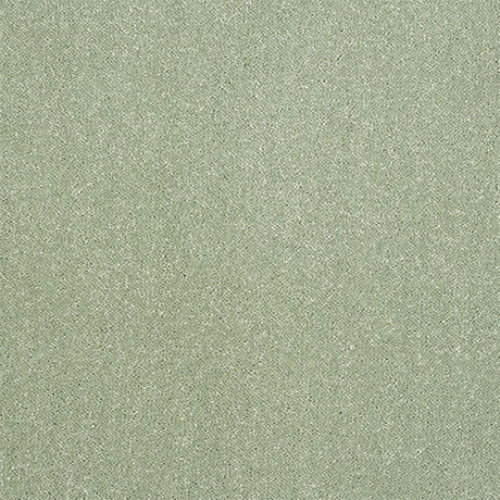 Captivation Carpet