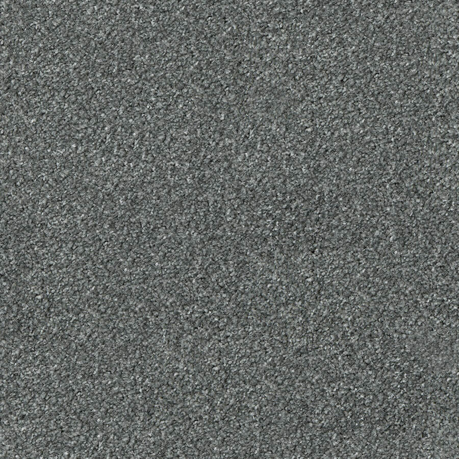 Apollo Plus Carpet