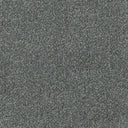 Apollo Plus Carpet
