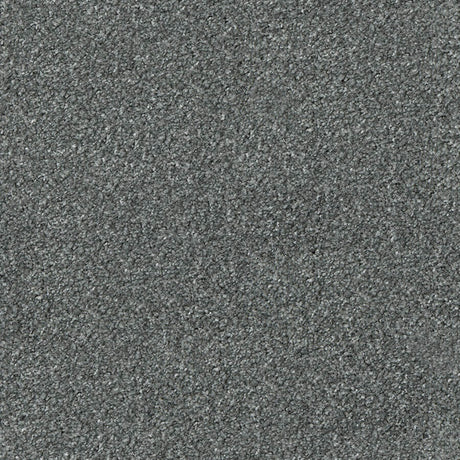 Apollo Plus Carpet