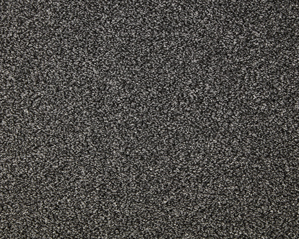 Primo Grande Carpet