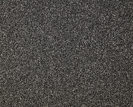 Primo Grande Carpet