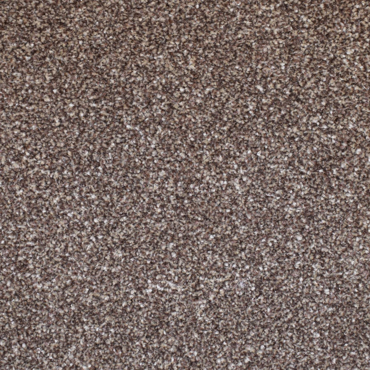 Rocky Ultra Chocolate (3.70m x 4.00m) M011165