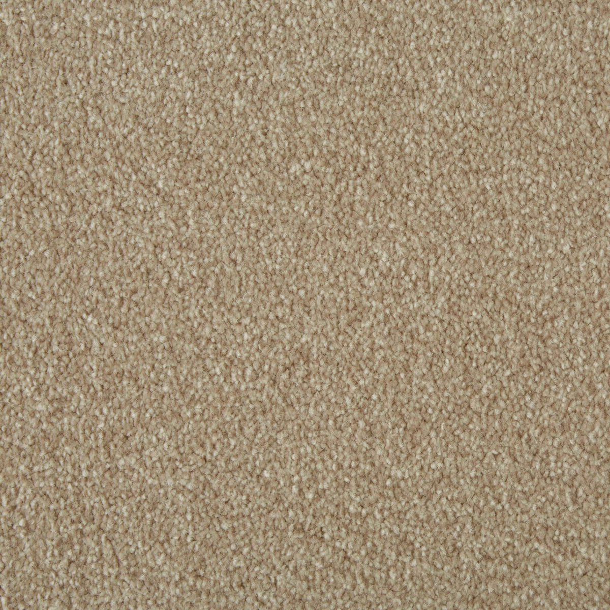 Rocky Ultra Curlew (4.30m x 4.00m) M011176