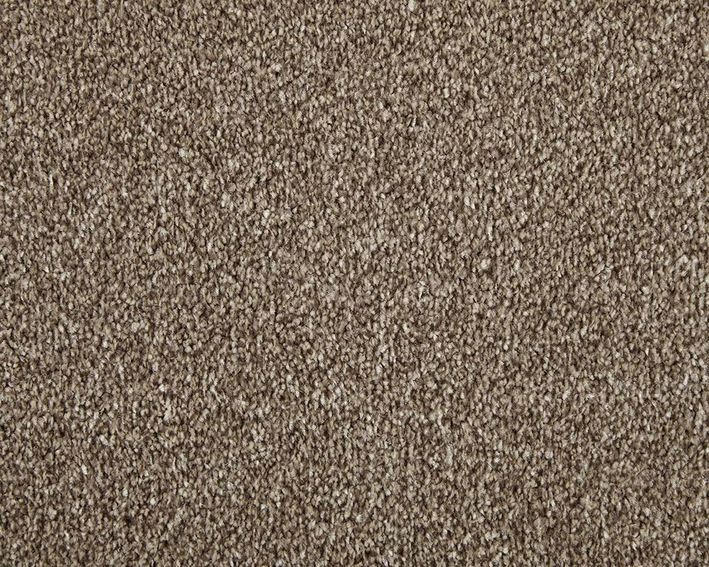 Apollo Elite Carpet