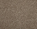 Apollo Elite Carpet
