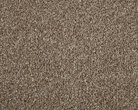 Apollo Elite Carpet