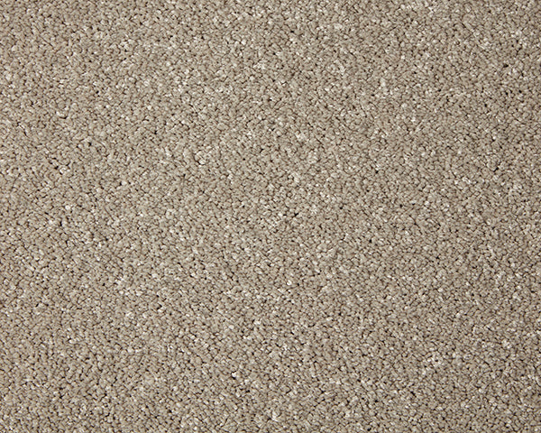 Primo Grande Carpet