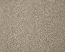 Primo Grande Carpet
