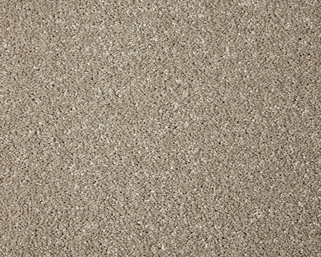 Primo Grande Carpet