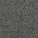 Rustique Saxony Carpet