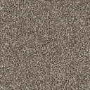 Rustique Saxony Carpet