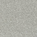 Rustique Saxony Carpet