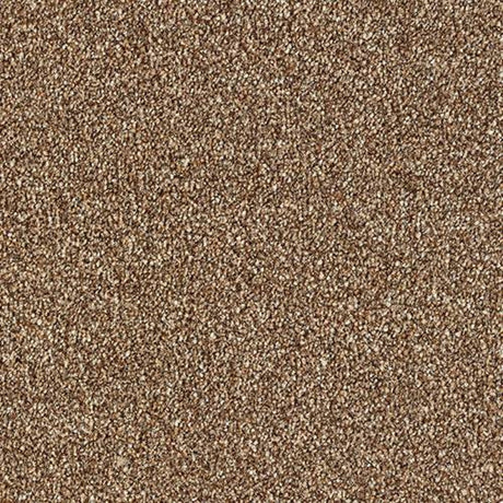 Rustique Saxony Carpet
