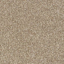 Rustique Saxony Carpet
