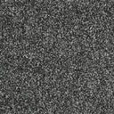 Rustique Saxony Carpet