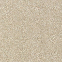 Rustique Saxony Carpet