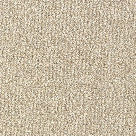 Rustique Saxony Carpet
