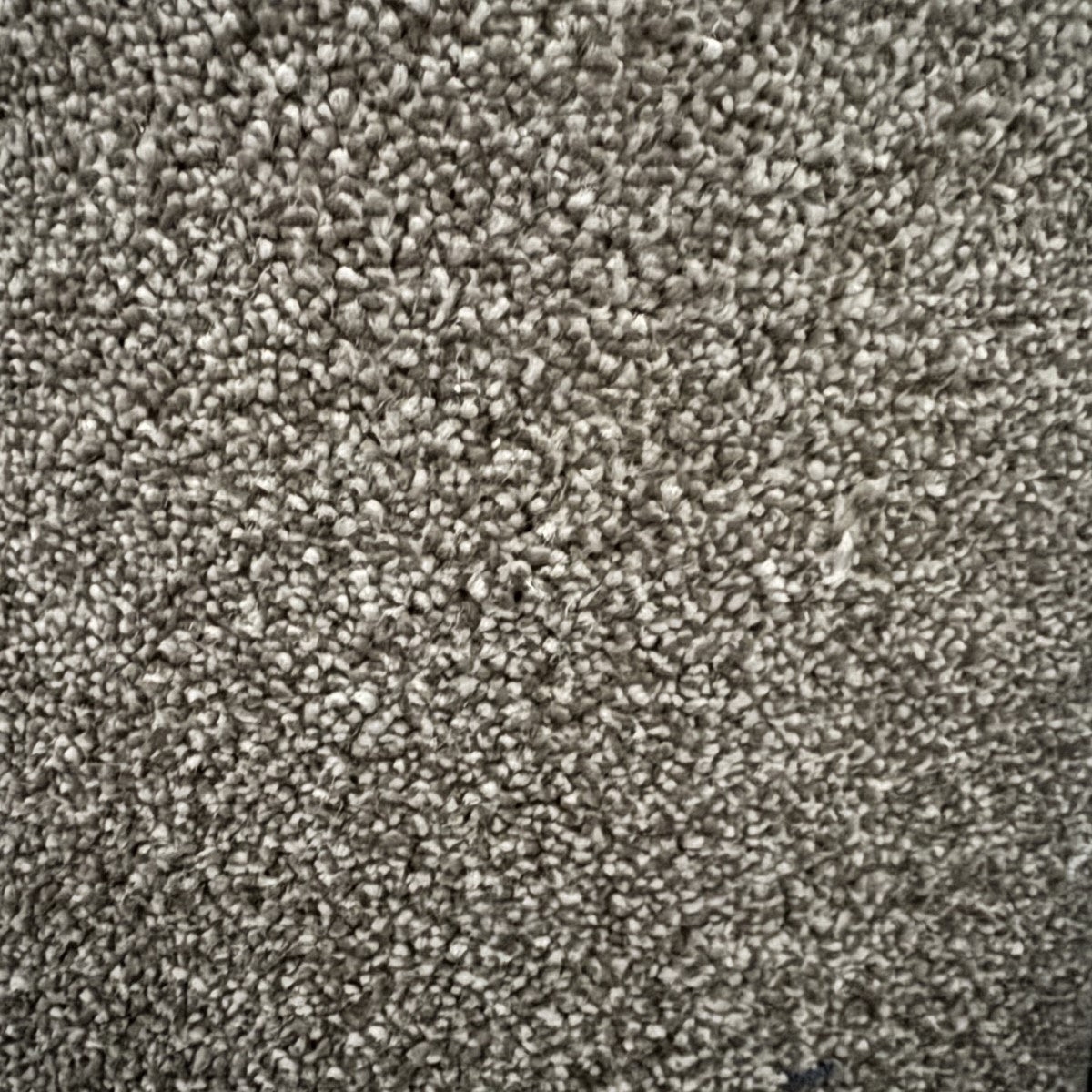 Sapphire 407 Filbert (1.50m x 4.00m) M006592
