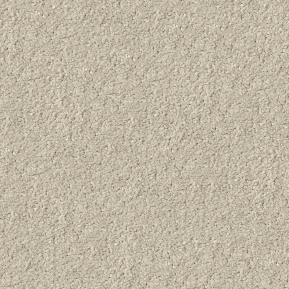 Apollo Plus Carpet