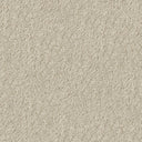 Apollo Plus Carpet