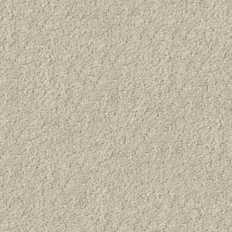 Apollo Plus Carpet