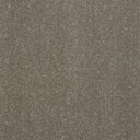 Captivation Carpet