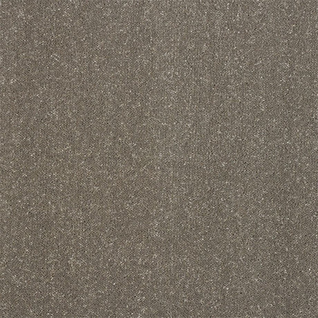 Captivation Carpet