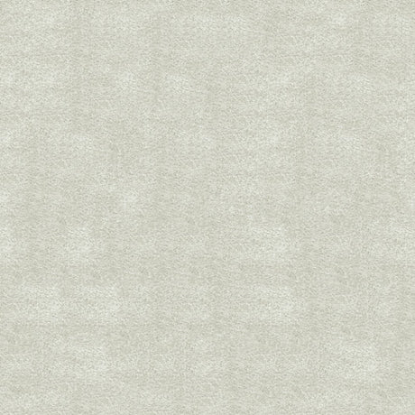 Serenity Carpet