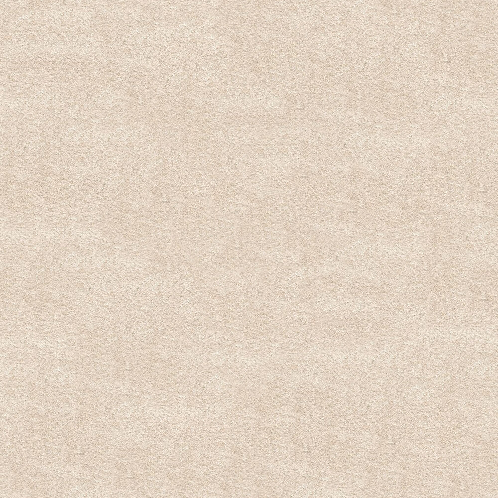 Serenity Carpet