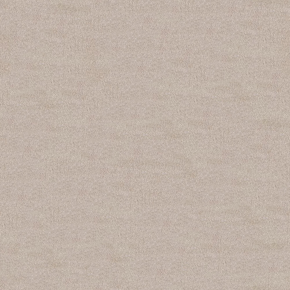 Serenity Carpet