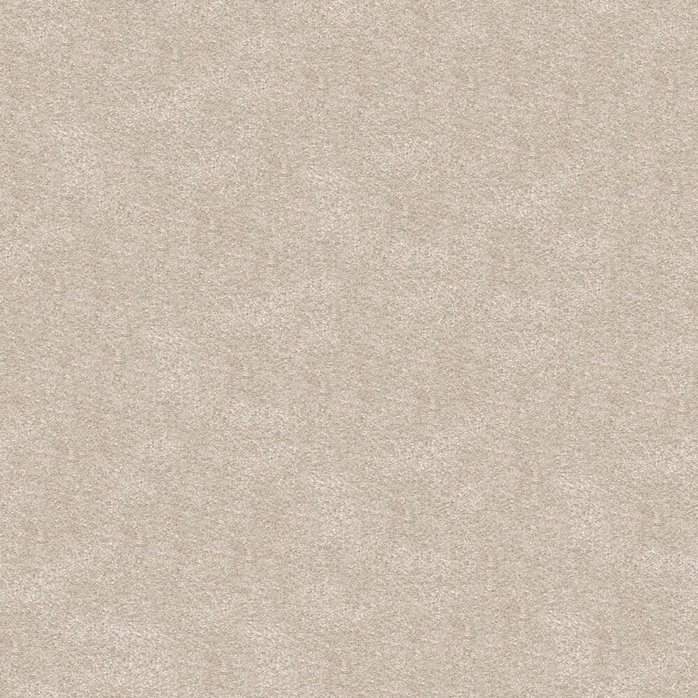 Serenity Carpet