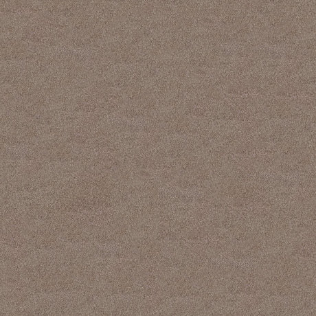 Serenity Carpet