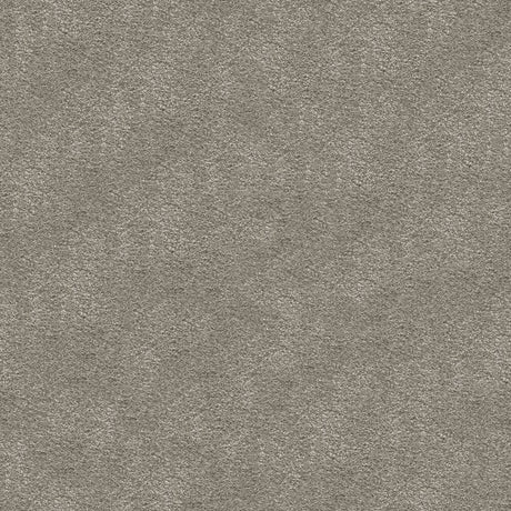 Serenity Carpet