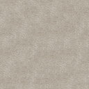 Serenity Carpet