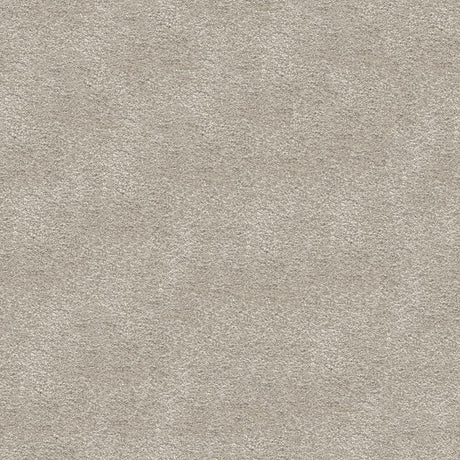 Serenity Carpet