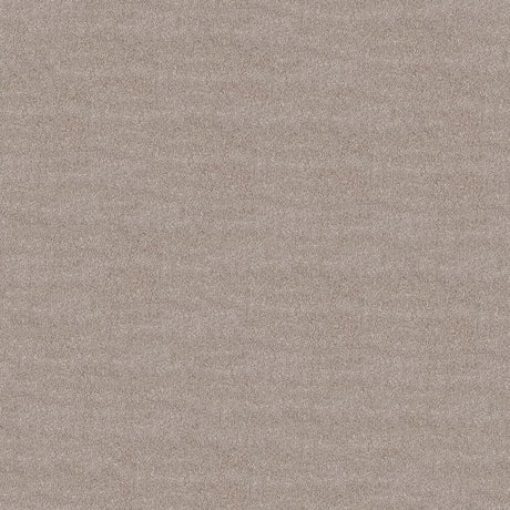 Serenity Carpet
