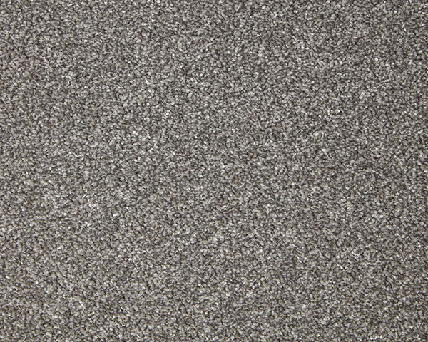 Primo Grande Carpet