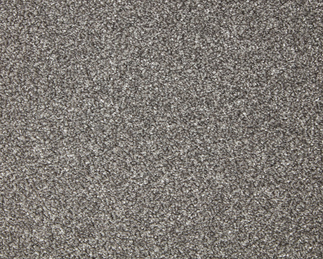 Primo Grande Carpet