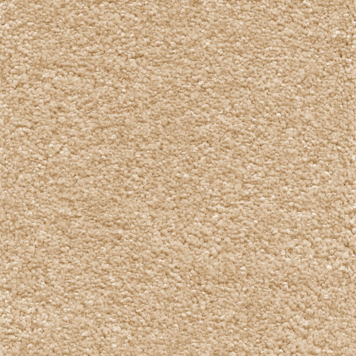 Sirius Carpet