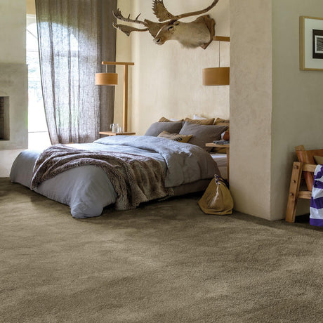 Sirius Carpet