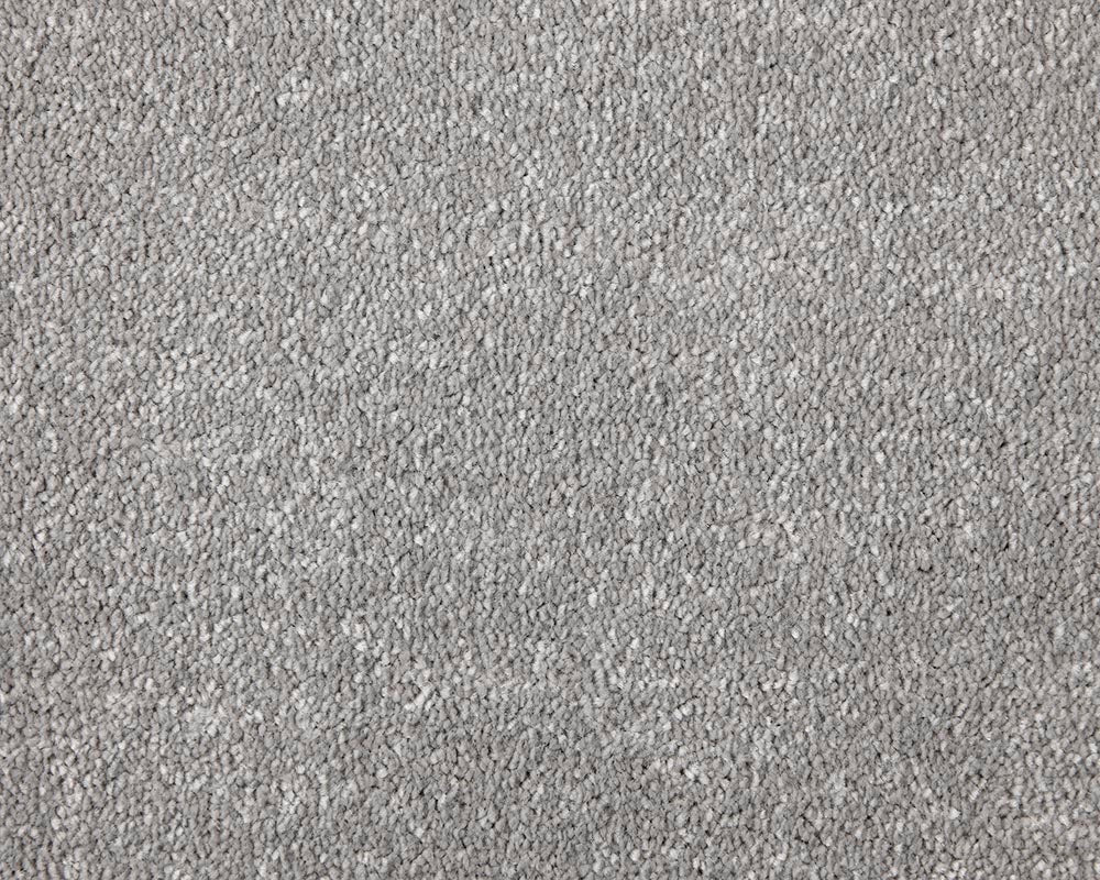 Apollo Elite Carpet